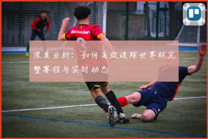 深度分析：如何高效追踪世界杯完整赛程与实时动态